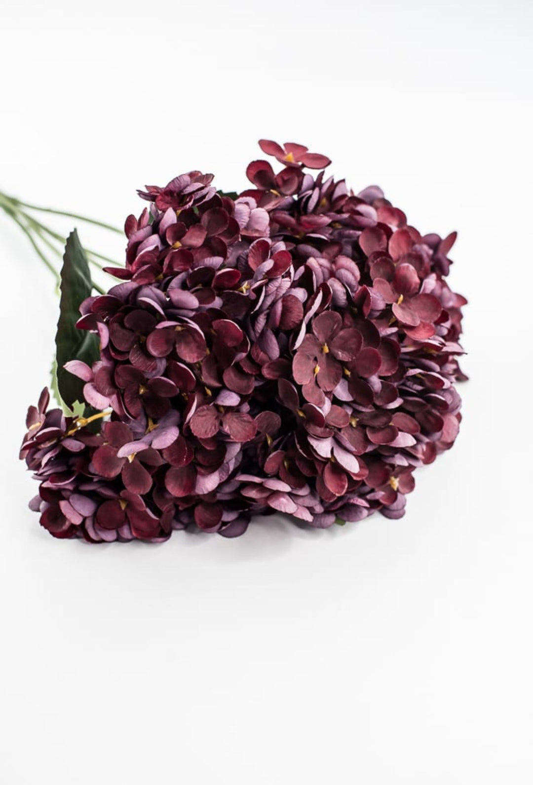Burgundy Hydrangea Bush - Greenery Market57328BG
