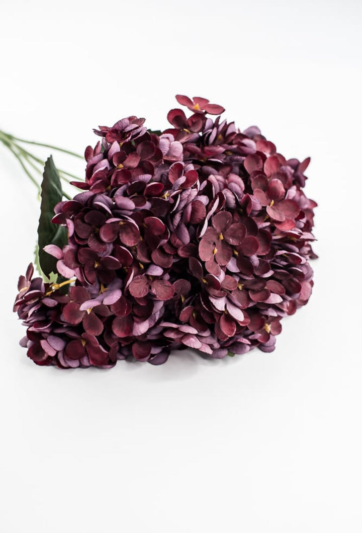 Burgundy Hydrangea Bush - Greenery Market57328BG