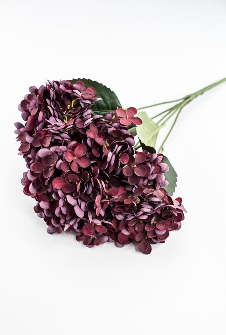 Burgundy Hydrangea Bush - Greenery Market57328BG