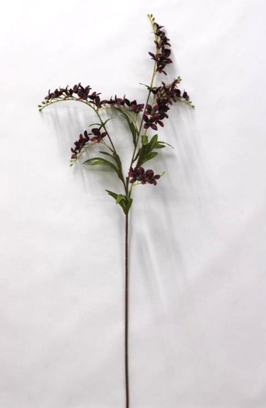 Burgundy Wild Vinca Spray - 31" - Greenery Market6590BU