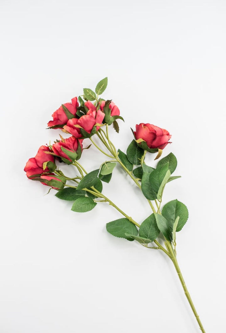 Cabbage rose spray - red orange - Greenery Market5977ROG