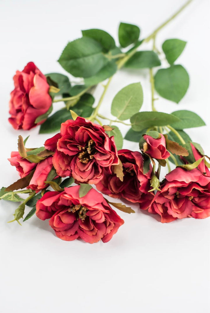 Cabbage rose spray - red orange - Greenery Market5977ROG