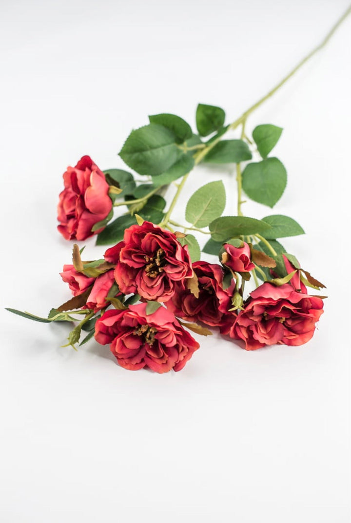 Cabbage rose spray - red orange - Greenery Market5977ROG