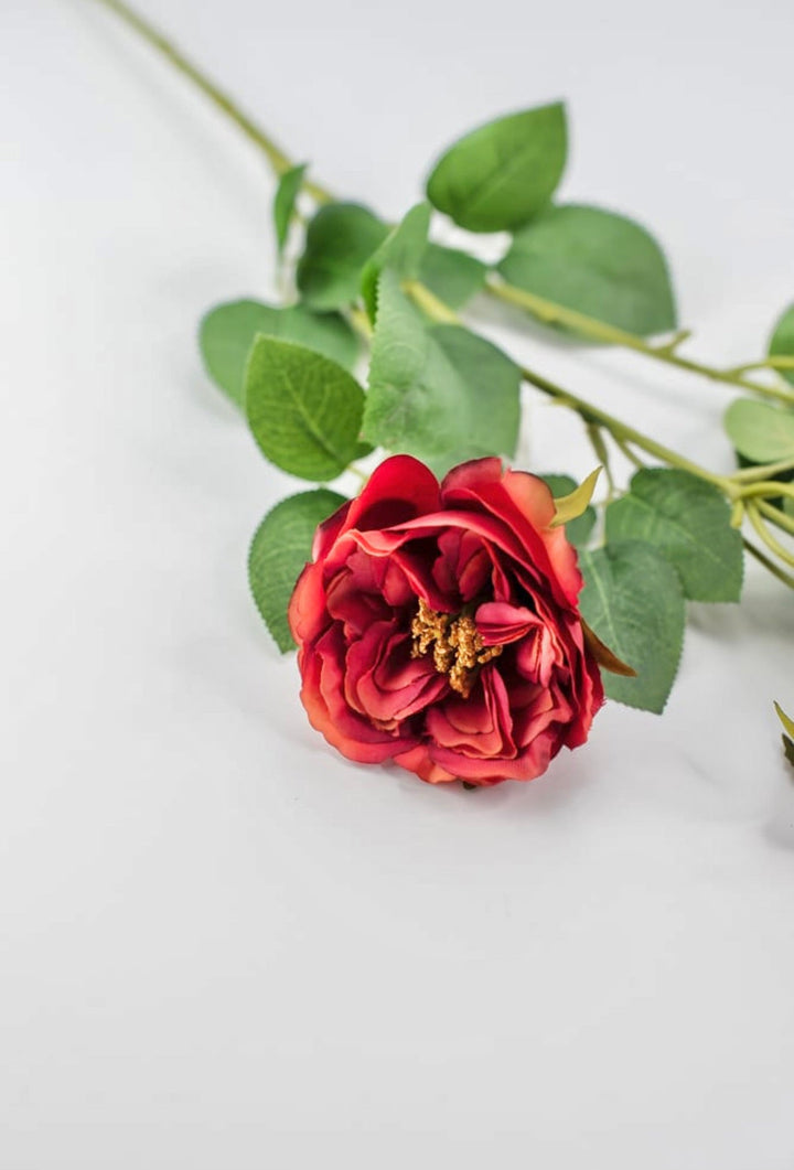 Cabbage rose spray - red orange - Greenery Market5977ROG