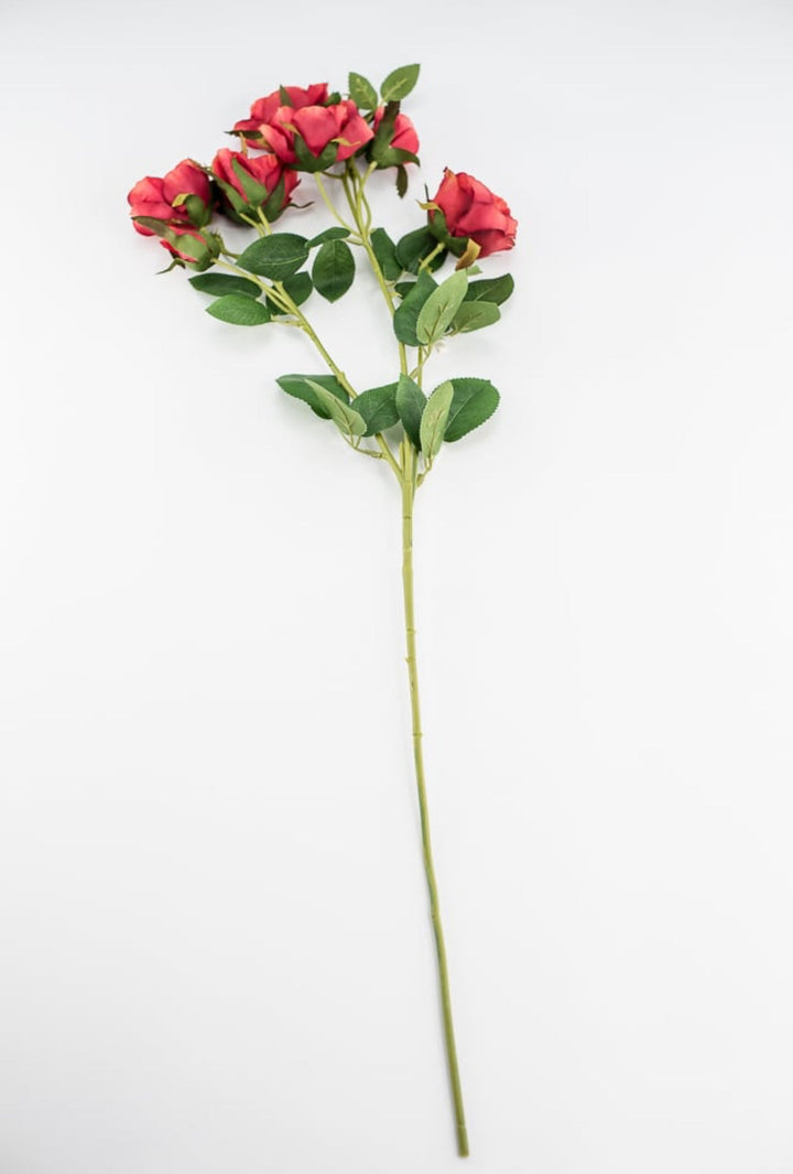 Cabbage rose spray - red orange - Greenery Market5977ROG