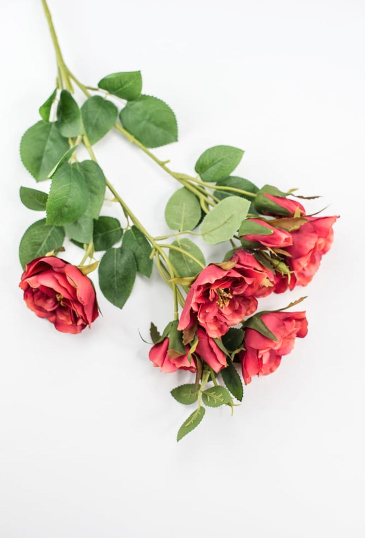 Cabbage rose spray - red orange - Greenery Market5977ROG