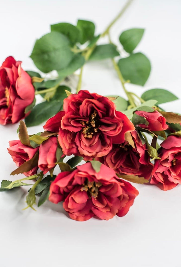 Cabbage rose spray - red orange - Greenery Market5977ROG