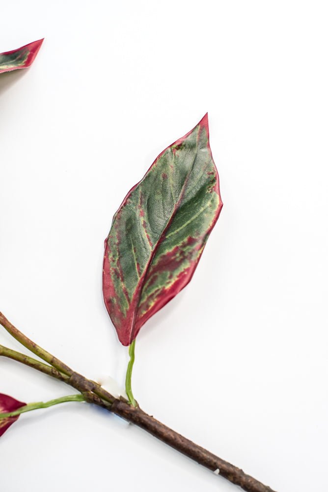 Calico Plant Leaves Spray Red Green - Greenery MarketPSC636 - GR/BT