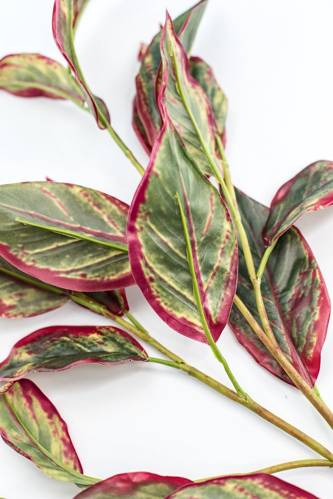 Calico Plant Leaves Spray Red Green - Greenery MarketPSC636 - GR/BT