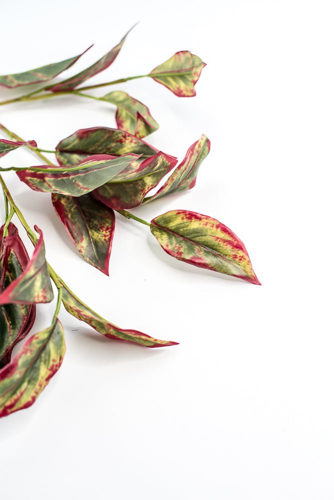 Calico Plant Leaves Spray Red Green - Greenery MarketPSC636 - GR/BT