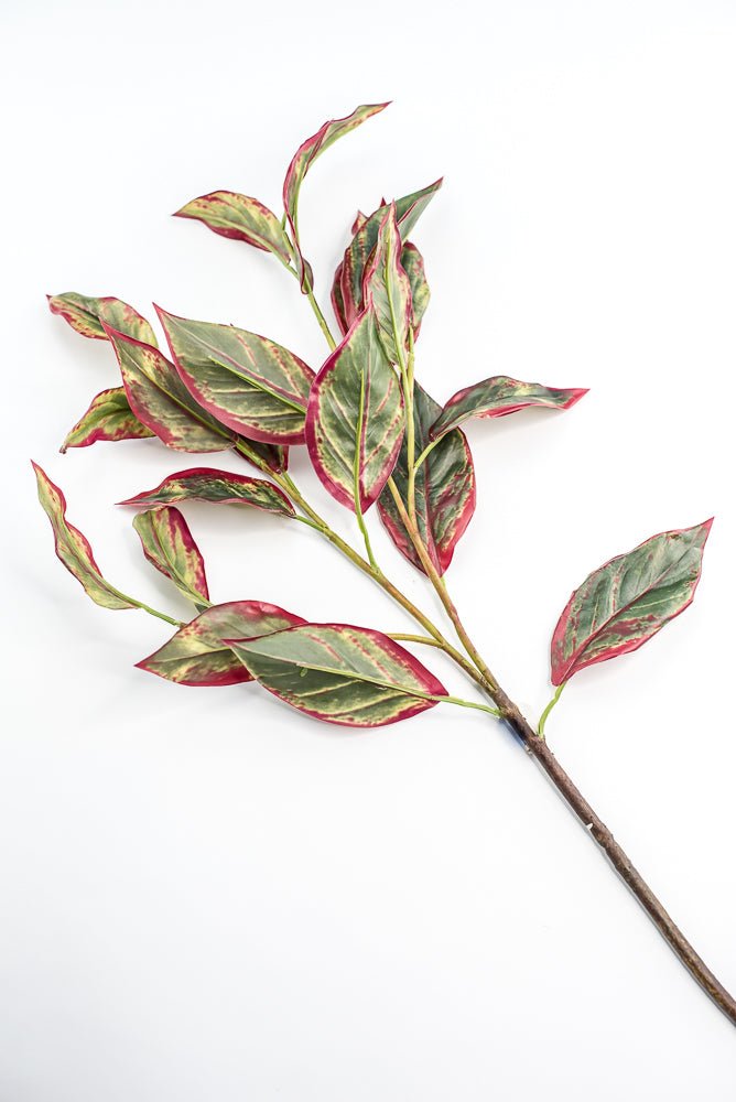 Calico Plant Leaves Spray Red Green - Greenery MarketPSC636 - GR/BT