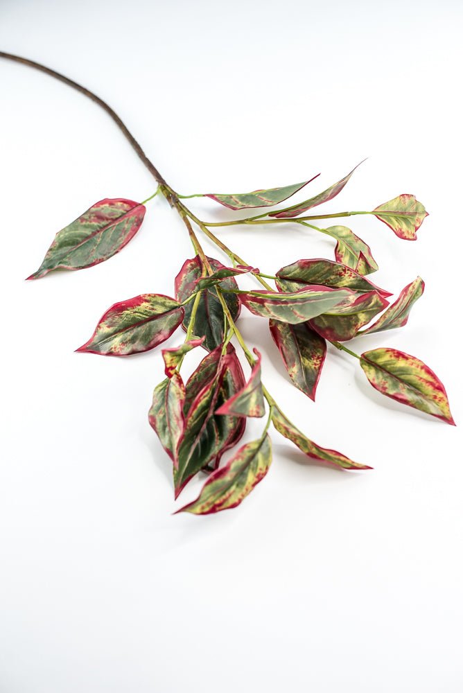 Calico Plant Leaves Spray Red Green - Greenery MarketPSC636 - GR/BT