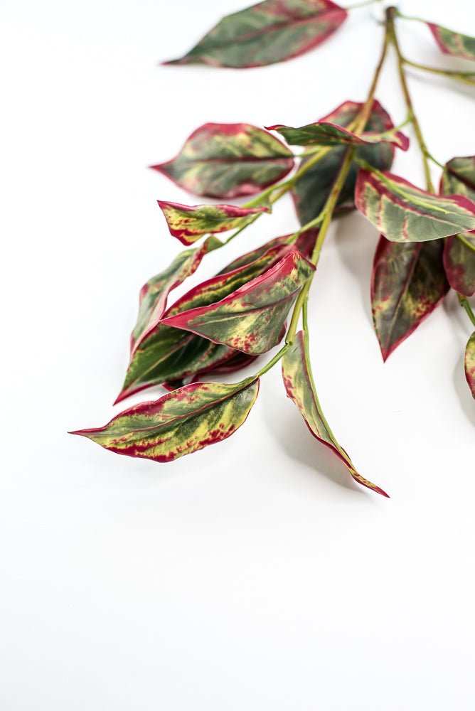 Calico Plant Leaves Spray Red Green - Greenery MarketPSC636 - GR/BT