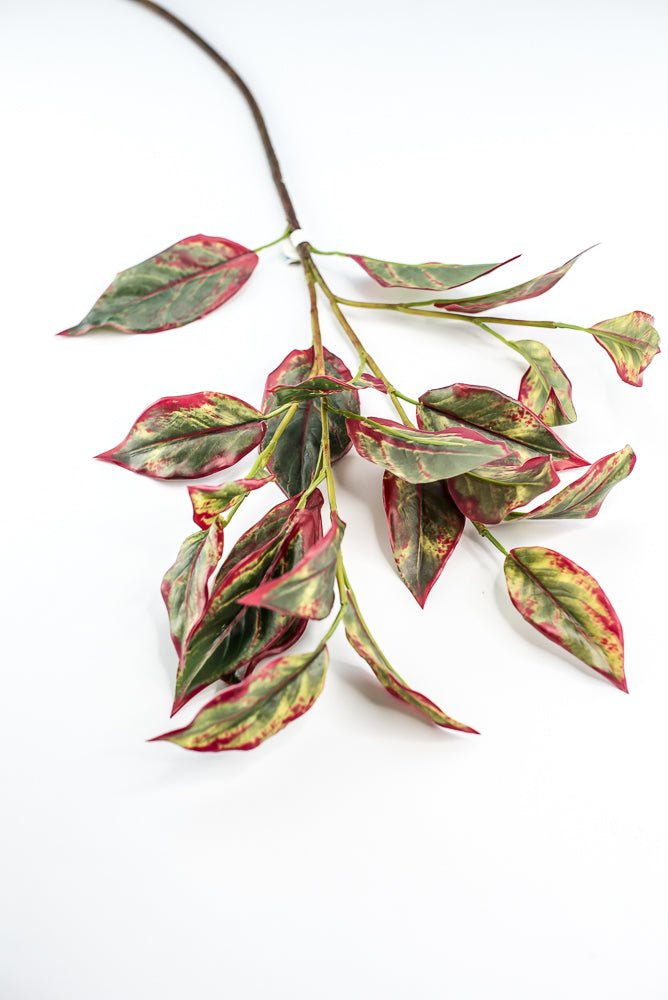 Calico Plant Leaves Spray Red Green - Greenery MarketPSC636 - GR/BT