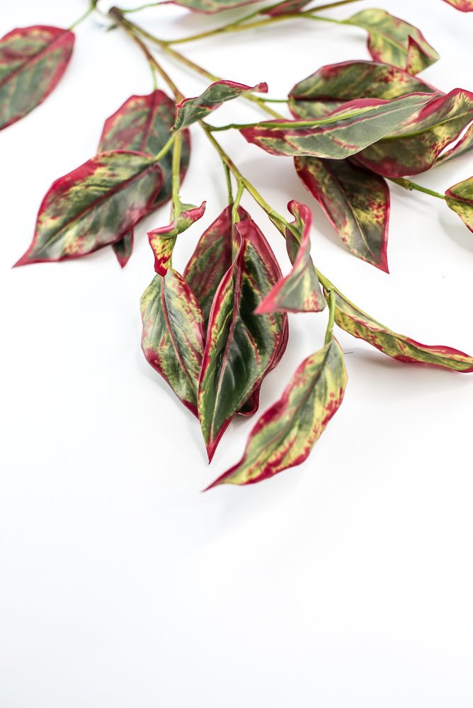 Calico Plant Leaves Spray Red Green - Greenery MarketPSC636 - GR/BT