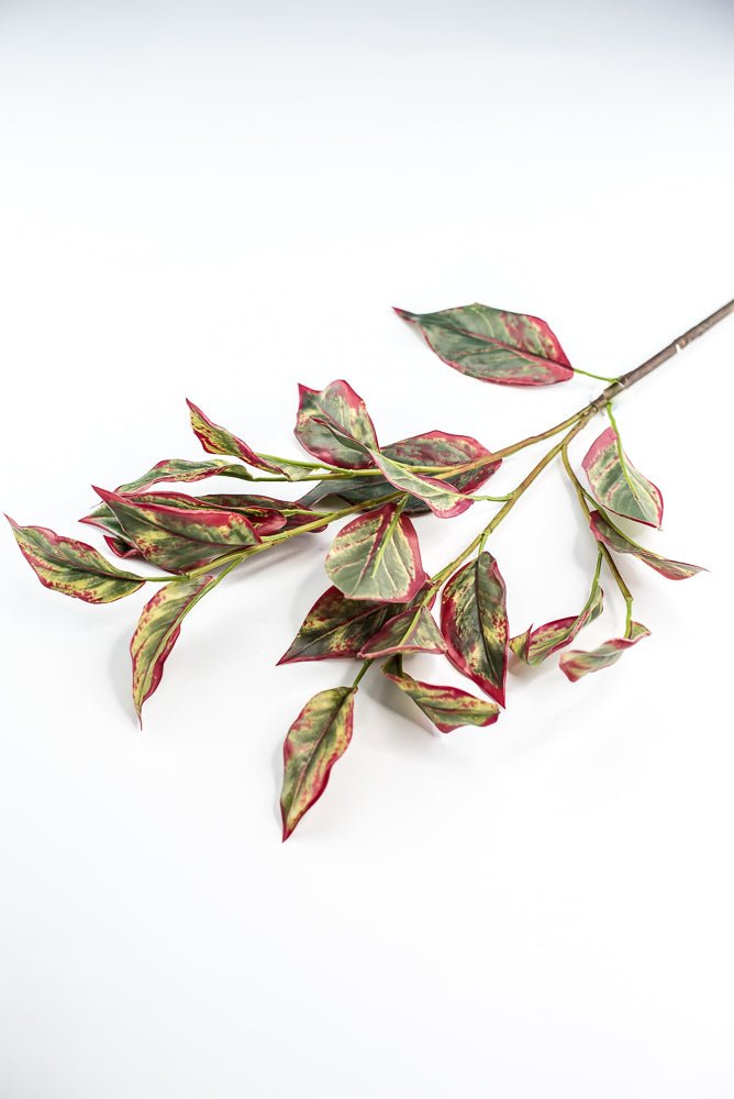 Calico Plant Leaves Spray Red Green - Greenery MarketPSC636 - GR/BT