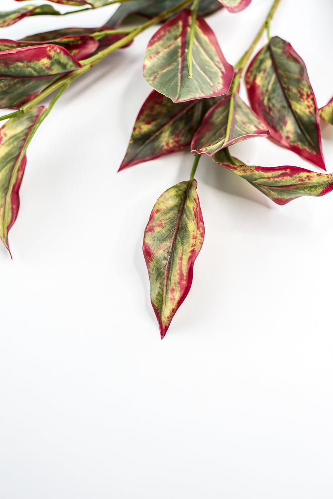 Calico Plant Leaves Spray Red Green - Greenery MarketPSC636 - GR/BT