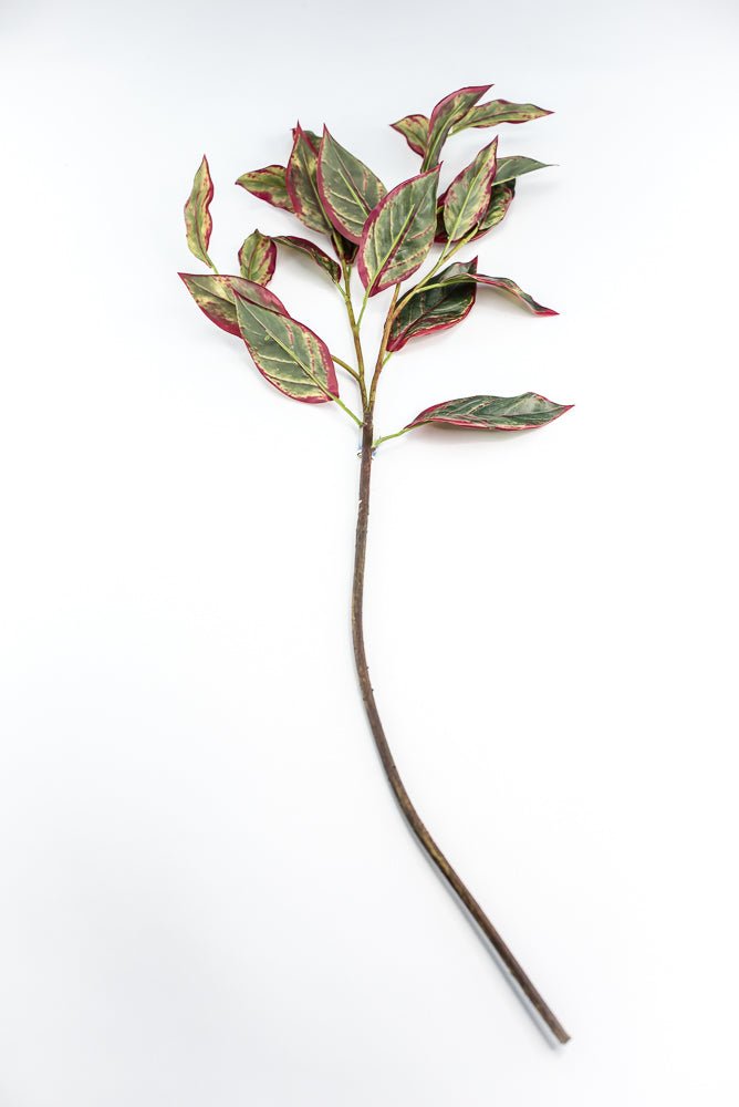 Calico Plant Leaves Spray Red Green - Greenery MarketPSC636 - GR/BT