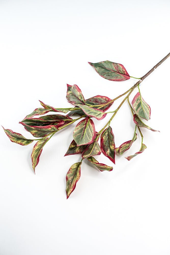 Calico Plant Leaves Spray Red Green - Greenery MarketPSC636 - GR/BT