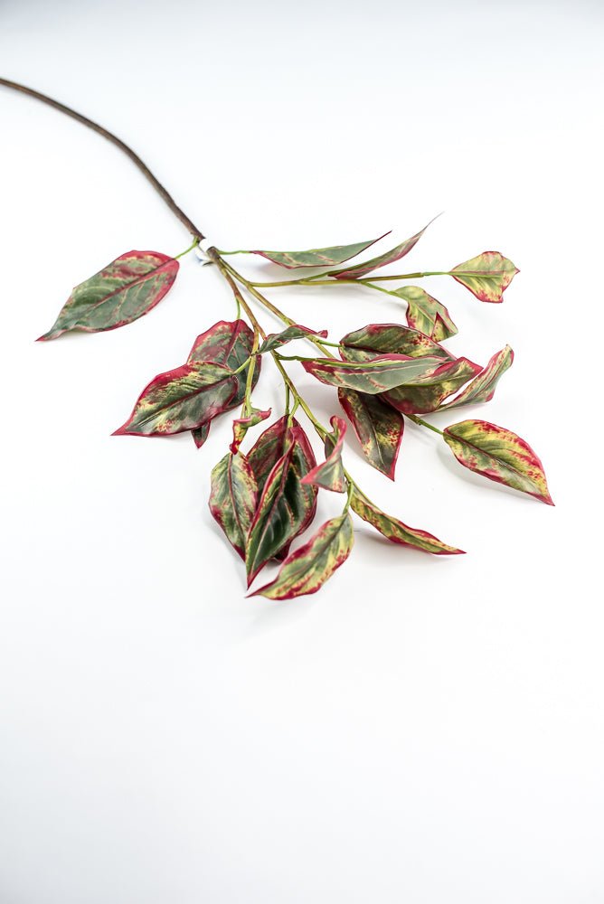 Calico Plant Leaves Spray Red Green - Greenery MarketPSC636 - GR/BT