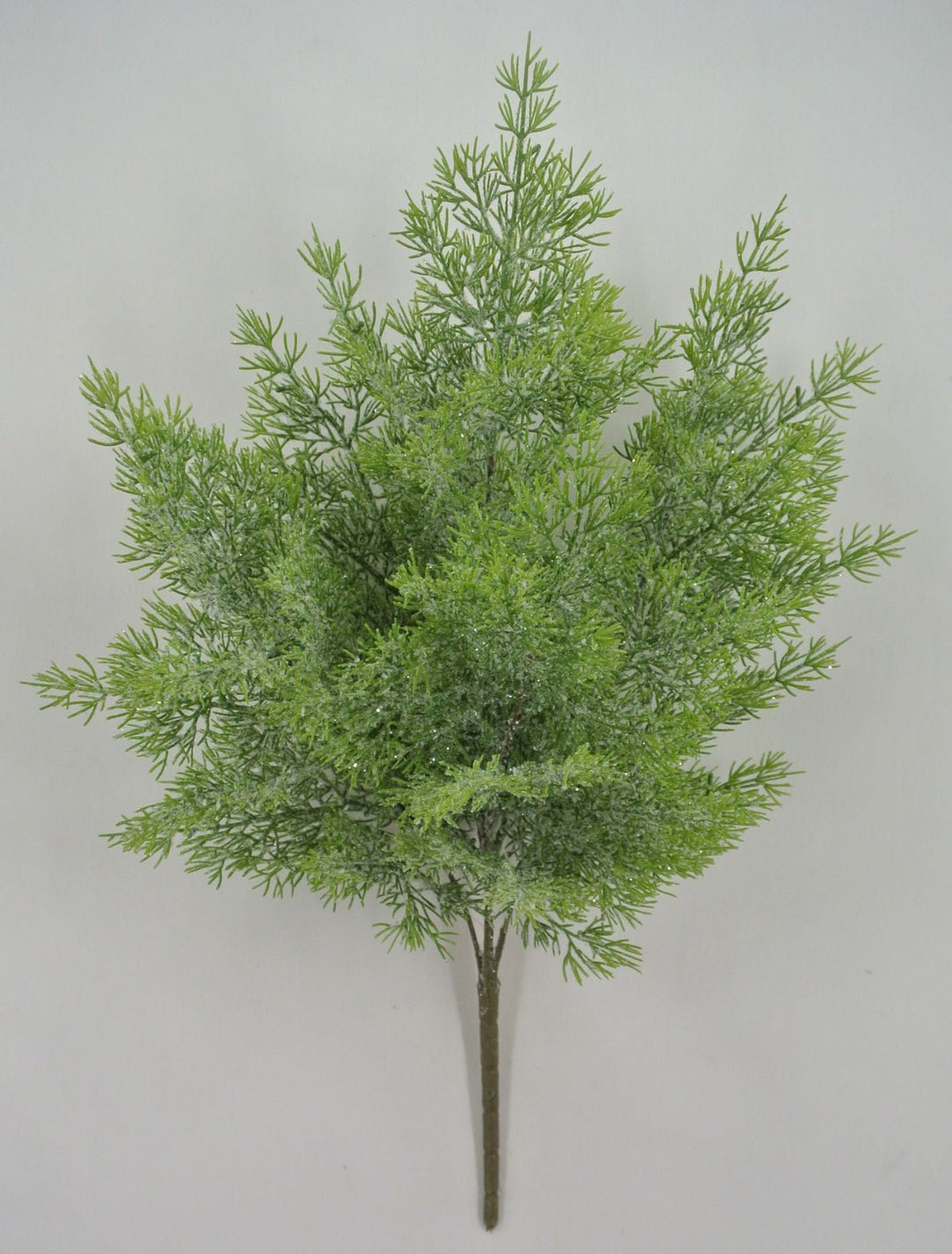 Cedar Iced Bush - Greenery Market85258