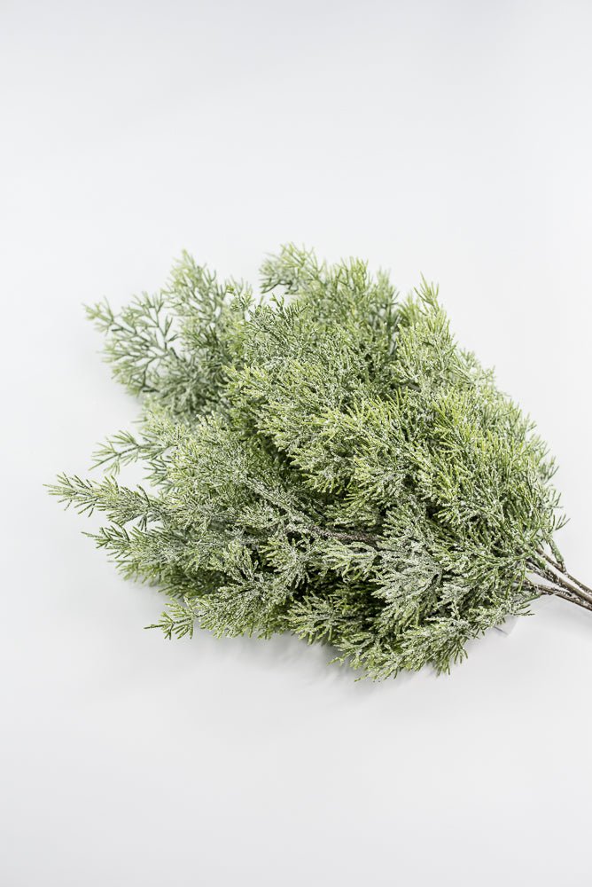 Cedar Iced Bush - Greenery Market85258