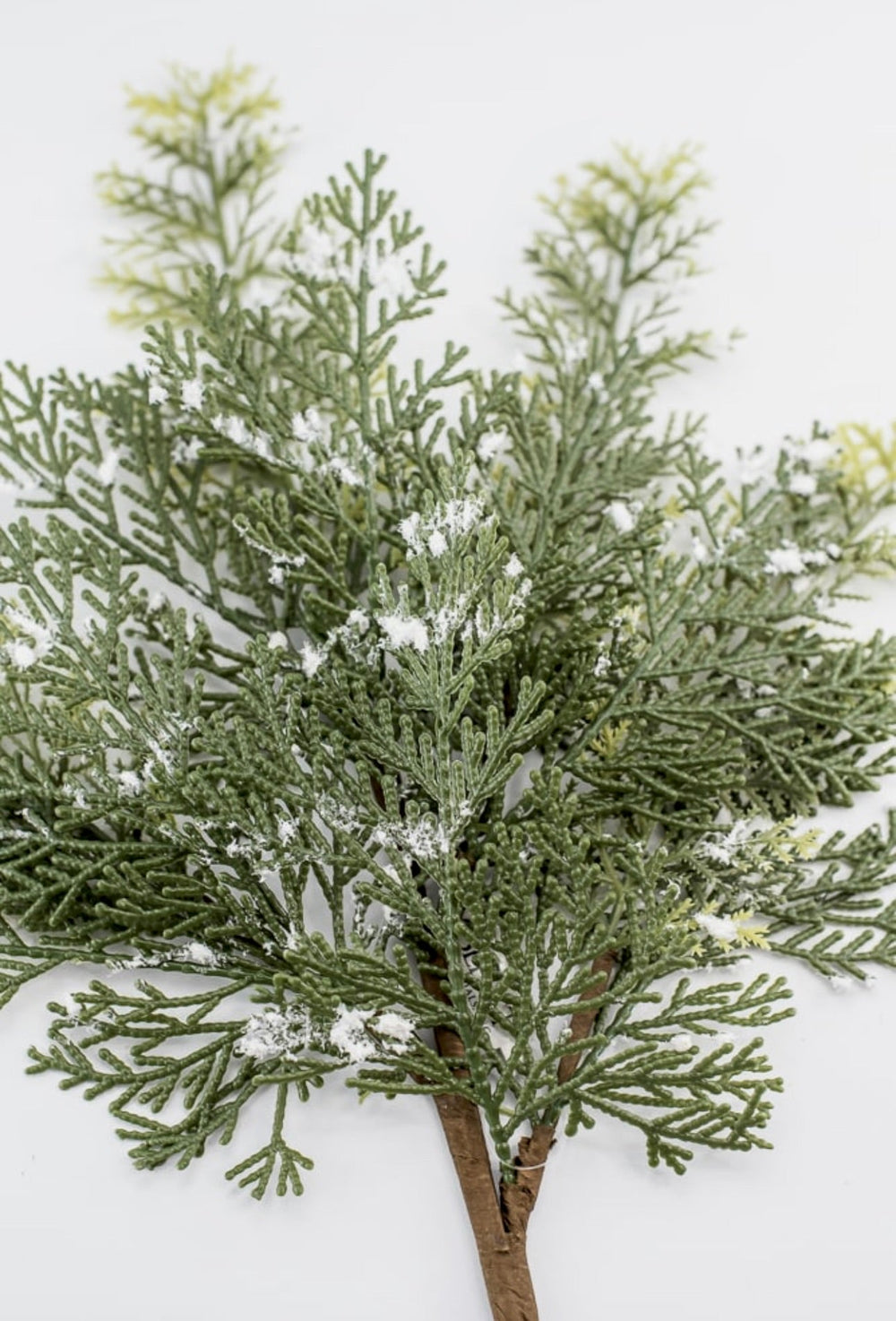 Cedar spray with snow - Greenery MarketgreeneryXS642 - GW