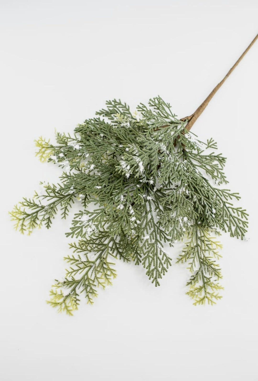Cedar spray with snow - Greenery MarketgreeneryXS642 - GW