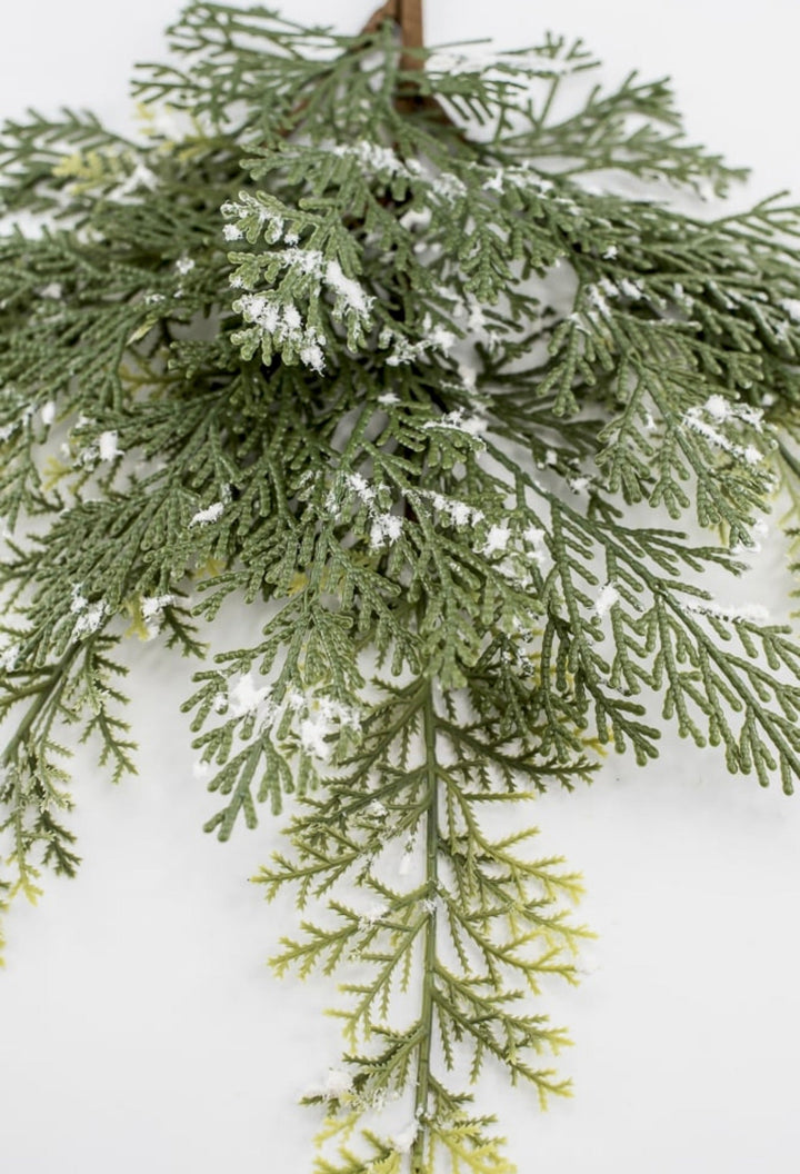 Cedar spray with snow - Greenery MarketgreeneryXS642 - GW