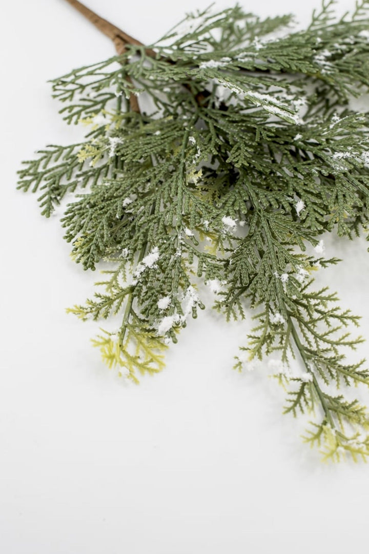 Cedar spray with snow - Greenery MarketgreeneryXS642 - GW