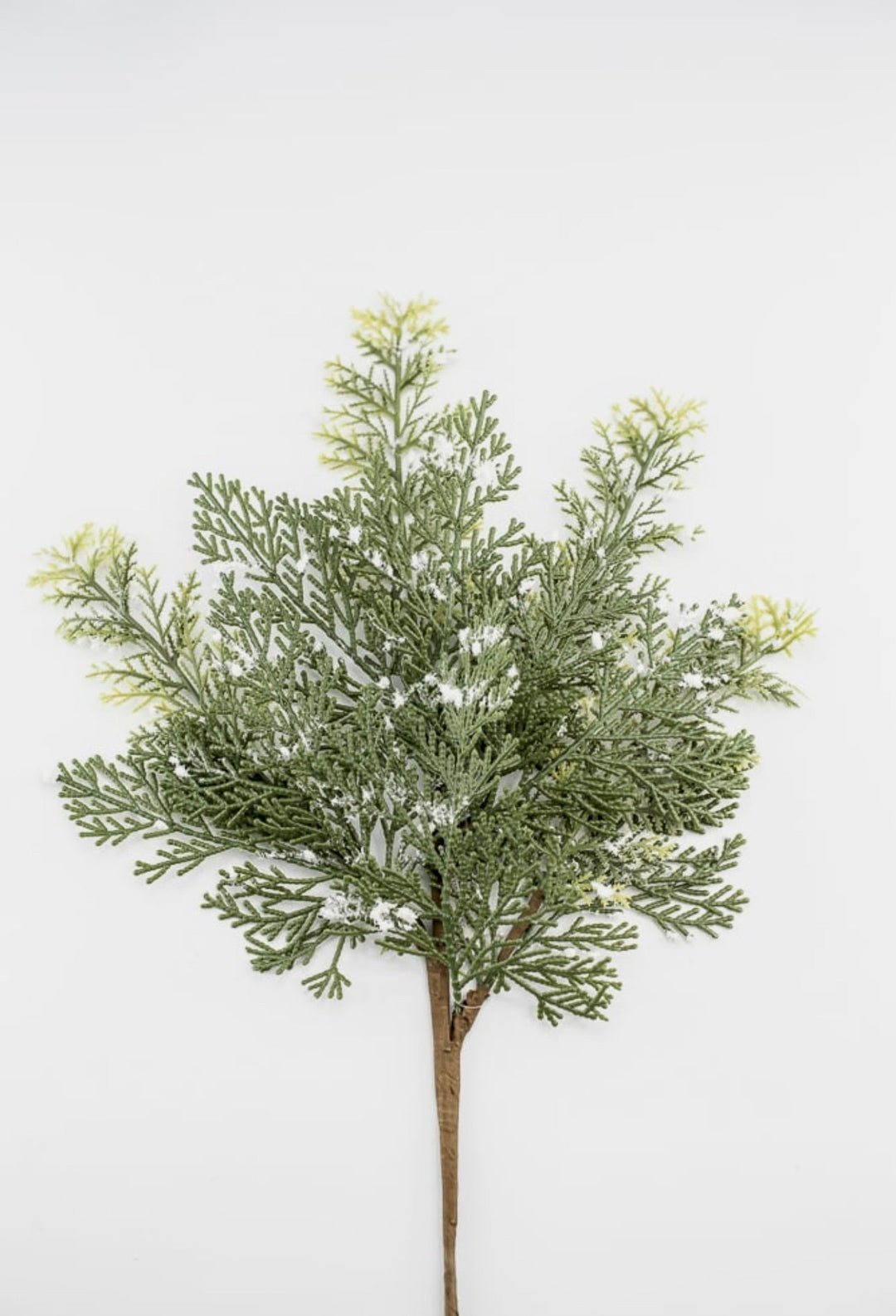 Cedar spray with snow - Greenery MarketgreeneryXS642 - GW