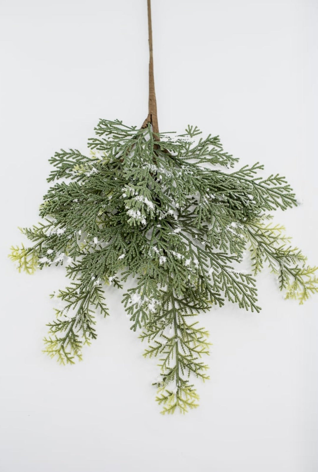 Cedar spray with snow - Greenery MarketgreeneryXS642 - GW