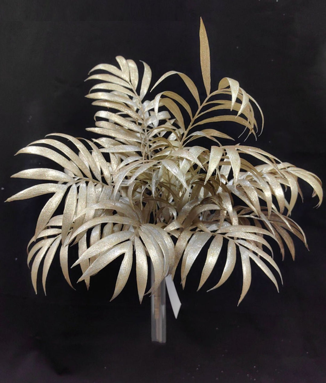 Champagne Palm Leaf Bush - Greenery Market32186 - CHAMP