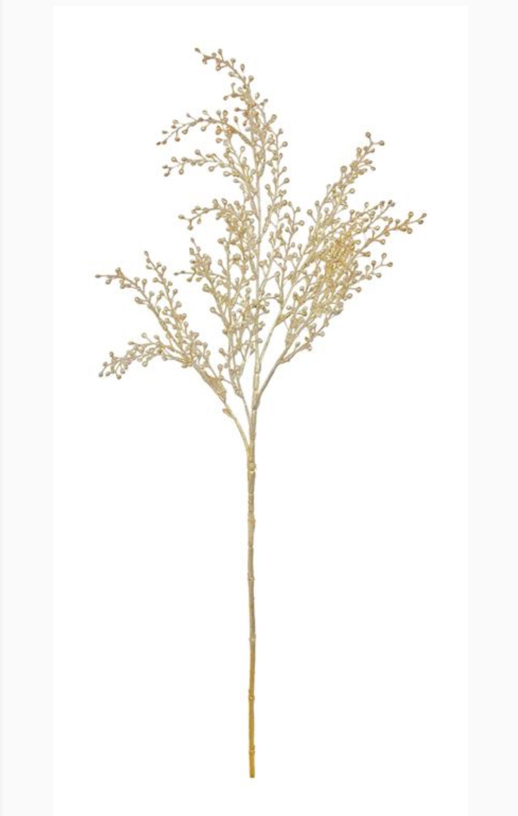 Champagne seed spray - Greenery MarketChristmasXG1046 - CH