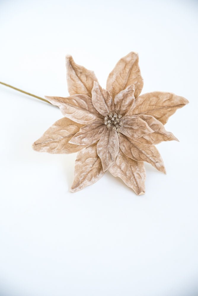 Champagne velvet poinsettia stem - Greenery MarketXS3968