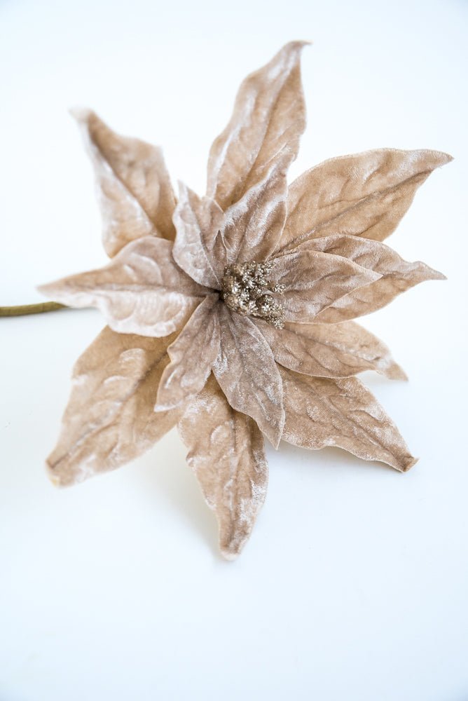 Champagne velvet poinsettia stem - Greenery MarketXS3968