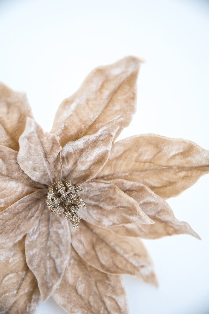 Champagne velvet poinsettia stem - Greenery MarketXS3968