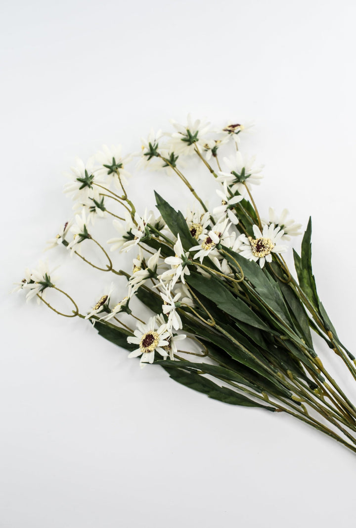 Chrysanthemum Flower Bush - Greenery Market28293