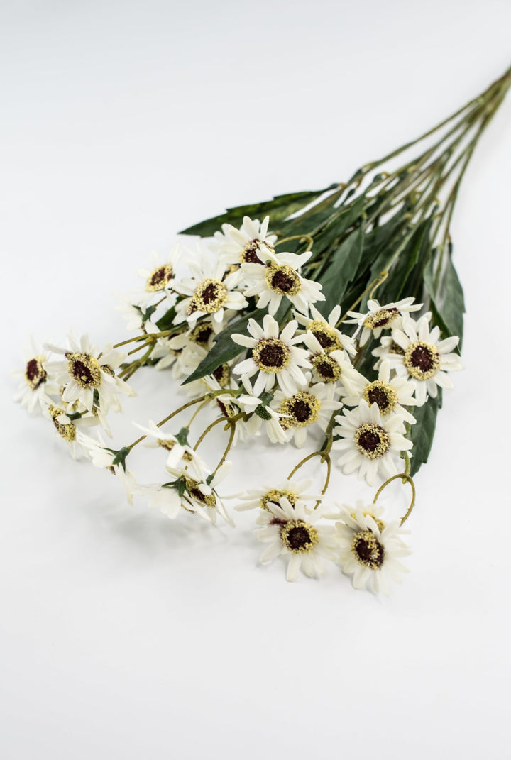 Chrysanthemum Flower Bush - Greenery Market28293