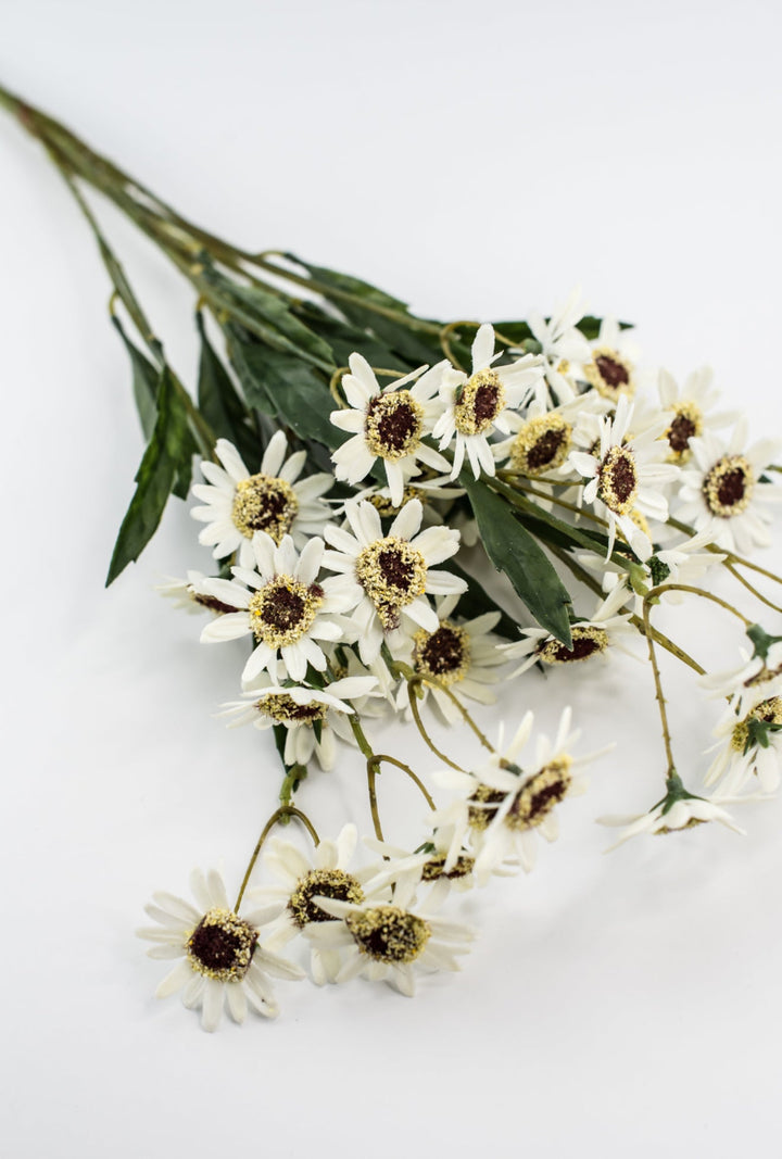 Chrysanthemum Flower Bush - Greenery Market28293