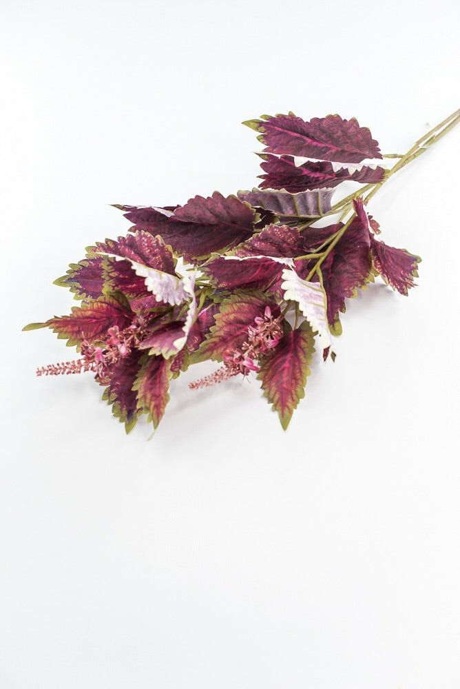 Coleus Leaves Spray - Green Red - Greenery MarketMTF24457 RDGR