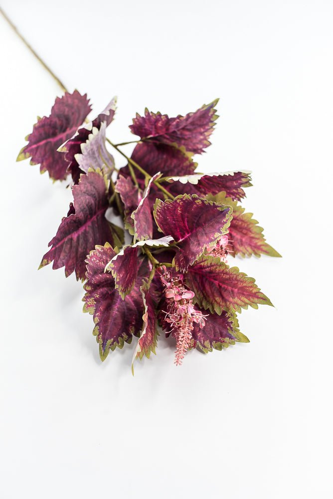 Coleus Leaves Spray - Green Red - Greenery MarketMTF24457 RDGR