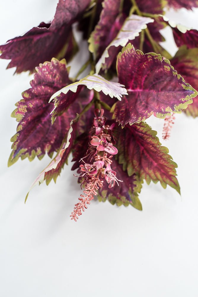 Coleus Leaves Spray - Green Red - Greenery MarketMTF24457 RDGR