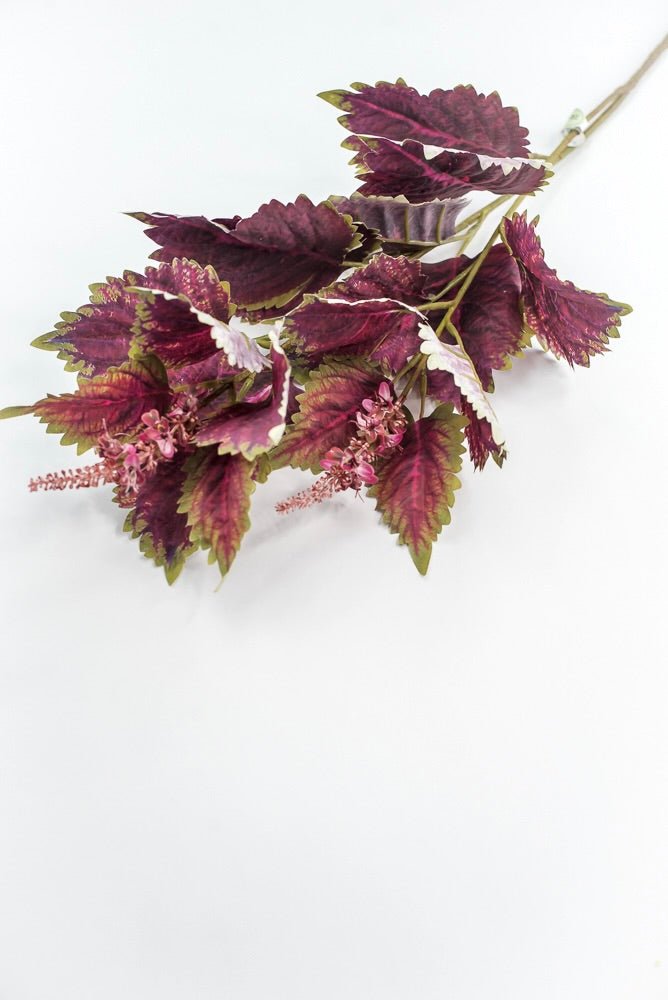 Coleus Leaves Spray - Green Red - Greenery MarketMTF24457 RDGR