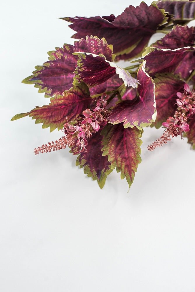 Coleus Leaves Spray - Green Red - Greenery MarketMTF24457 RDGR