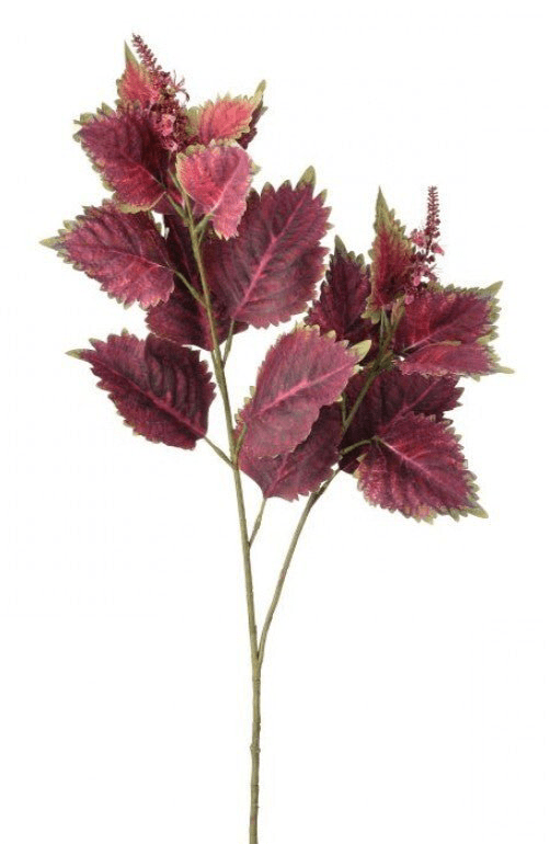 Coleus Leaves Spray - Green Red - Greenery MarketMTF24457 RDGR