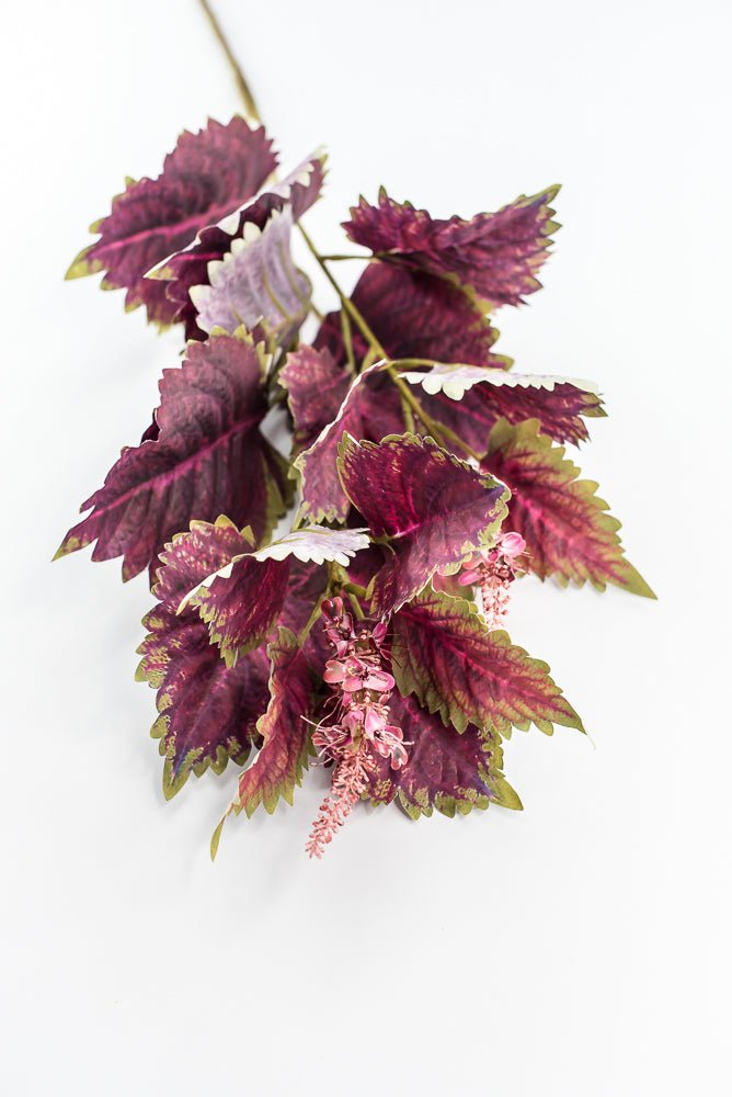 Coleus Leaves Spray - Green Red - Greenery MarketMTF24457 RDGR