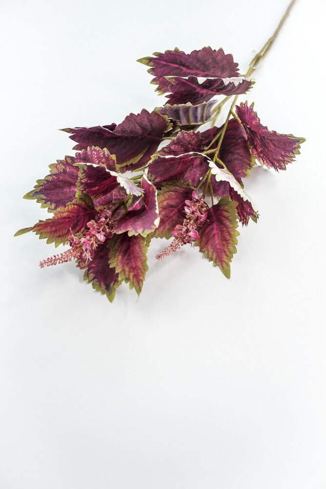 Coleus Leaves Spray - Green Red - Greenery MarketMTF24457 RDGR