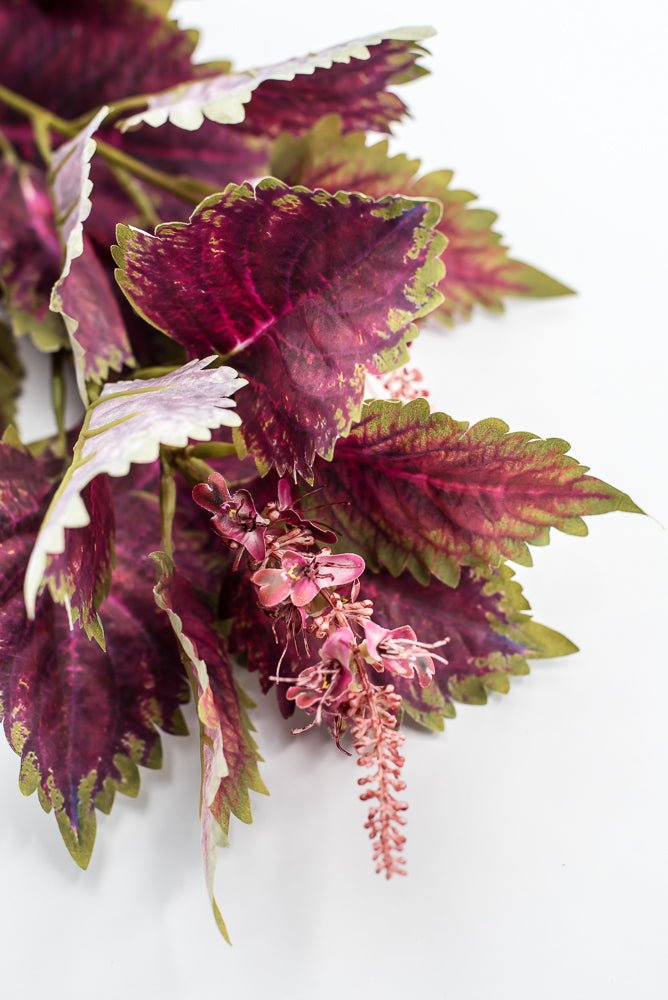 Coleus Leaves Spray - Green Red - Greenery MarketMTF24457 RDGR