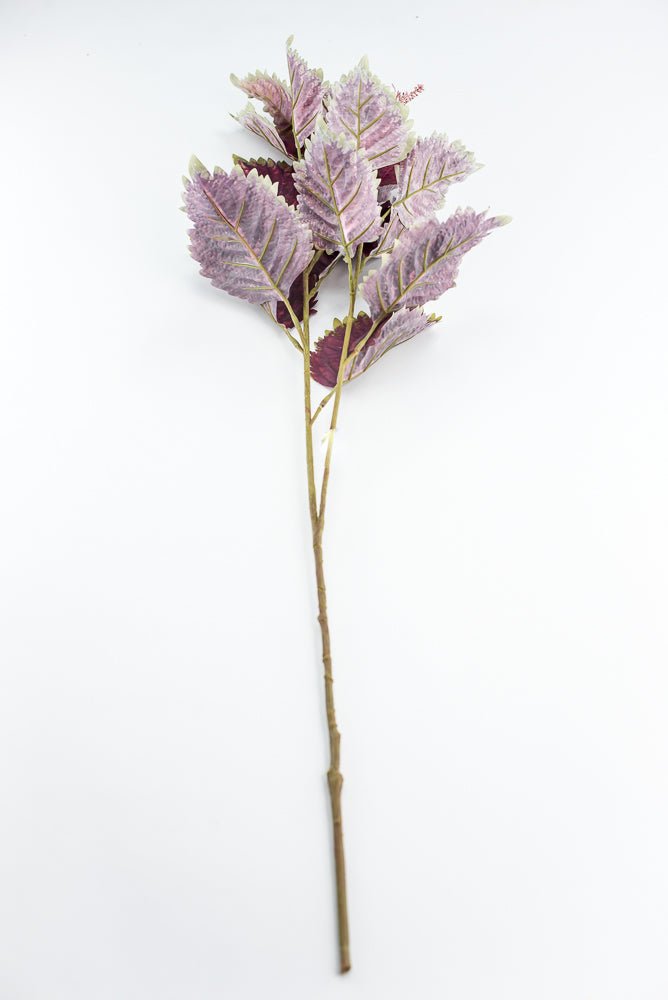 Coleus Leaves Spray - Green Red - Greenery MarketMTF24457 RDGR